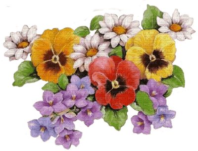 pansy flowers bp - Free PNG