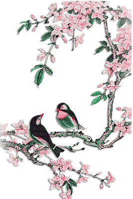 soave deco bird spring branch flowers  pink green - kostenlos png