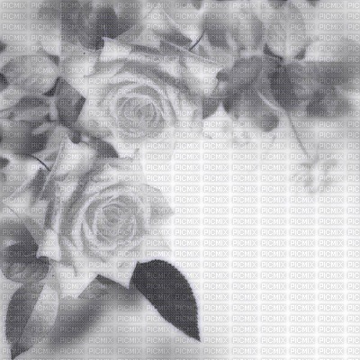 Kaz_Creations Backgrounds Background Flowers - ingyenes png