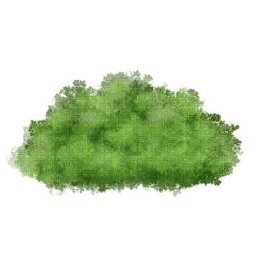 buisson - 免费PNG
