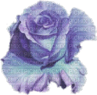 Blumen-Flowers-fleurs - Ingyenes animált GIF