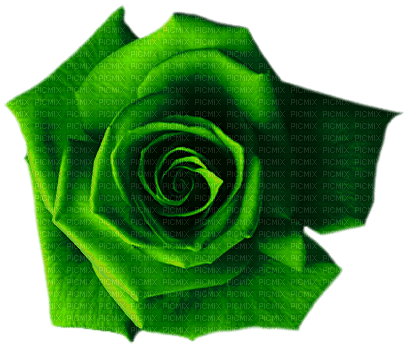 Rose.Green - PNG gratuit