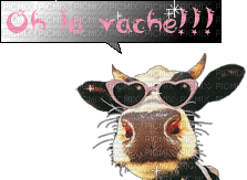 vache - GIF animate gratis