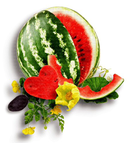 Watermelon.Red.Green - PNG gratuit