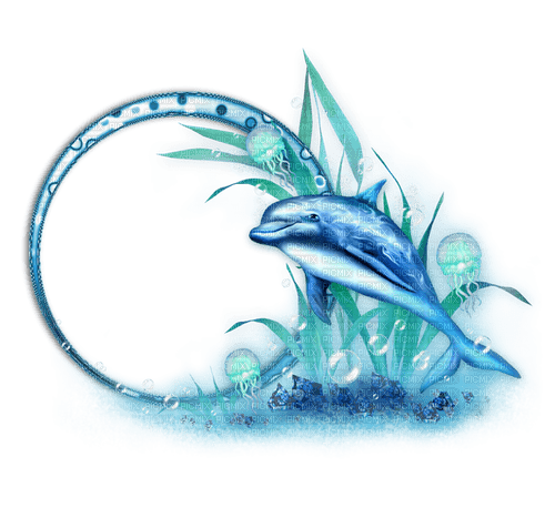 dolphin Bb2 - kostenlos png