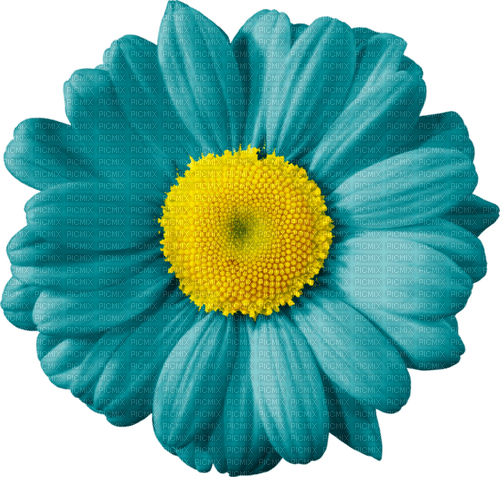 teal flower Bb2 - zadarmo png