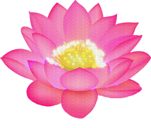 Lotus - GIF animado gratis