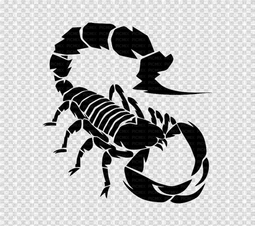 scorpion - png ฟรี