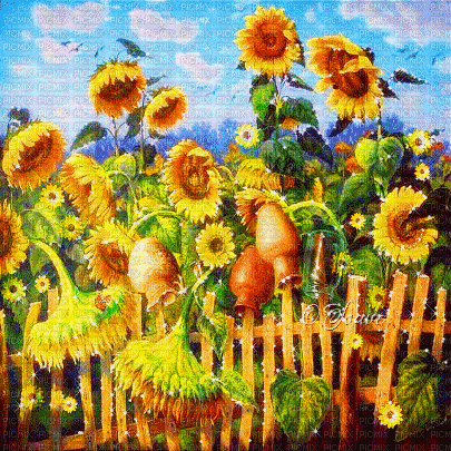 soave background animated field flowers sunflowers - 免费动画 GIF