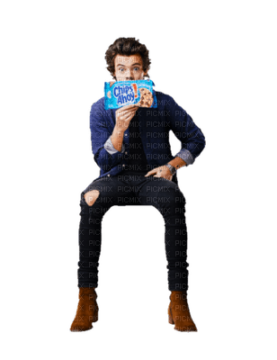 Kaz_Creations Harry Styles One Direction Singer Band Music - png gratis