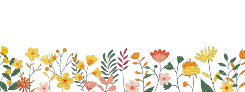 foglie e fiori - nemokama png