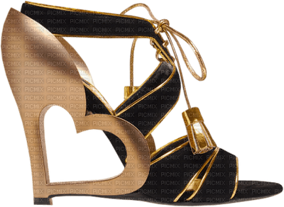 Kaz_Creations Shoes Shoe - png gratuito