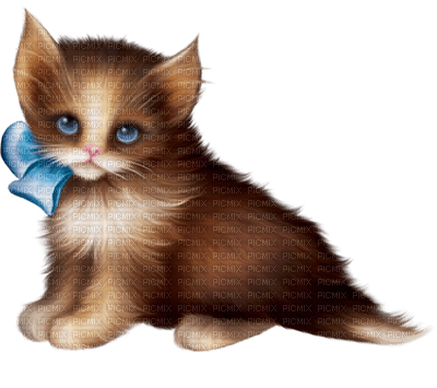 Kaz_Creations Cats Cat Kittens Kitten - bezmaksas png