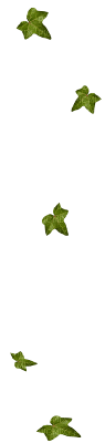 green leaves - 無料png