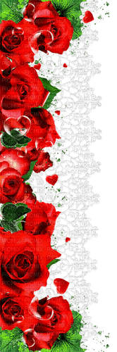 Roses.Red - ücretsiz png