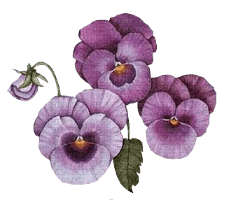 kikkapink vintage flowers deco spring summer - безплатен png