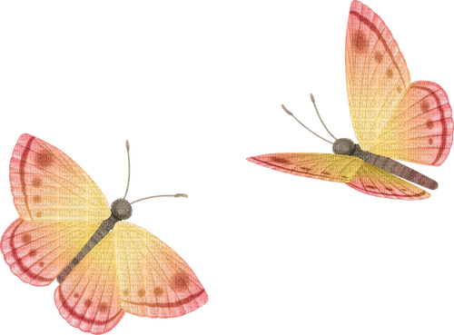 autumn butterflies butterfly kikkapink - 無料png