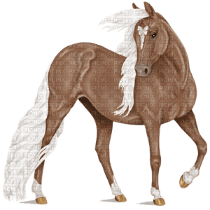 Cheval - δωρεάν png
