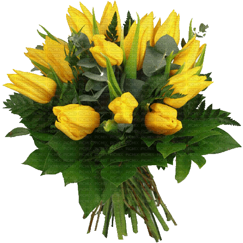 Blumen, Flowers, Tulpen - Δωρεάν κινούμενο GIF