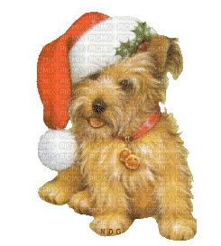 Christmas Dog - GIF animé gratuit