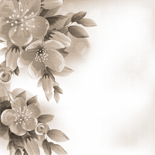 Y.A.M._Spring Summer background  sepia - zdarma png
