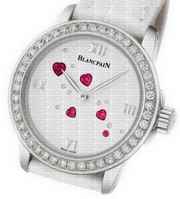 tube montre - 無料png