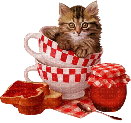 kikkapink spring red summer cat jam - PNG gratuit