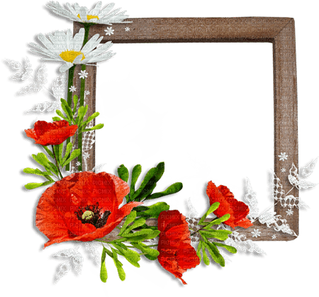 soave frame deco scrap wood flowers poppy daisy - darmowe png
