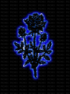 Roses Animées - 免费动画 GIF