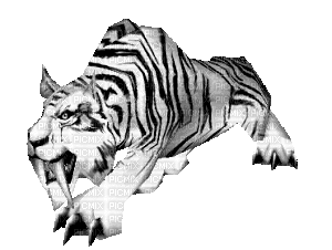White Smilodon - Free animated GIF