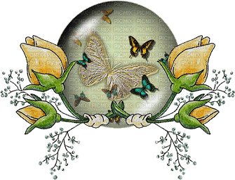 MMarcia gif borboletas - 無料のアニメーション GIF