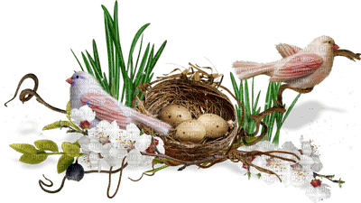 Kaz_Creations Flowers Flower Deco Nest Birds Eggs - darmowe png