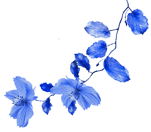 Leaves.Flowers.Blue.Animated - KittyKatLuv65 - Безплатен анимиран GIF