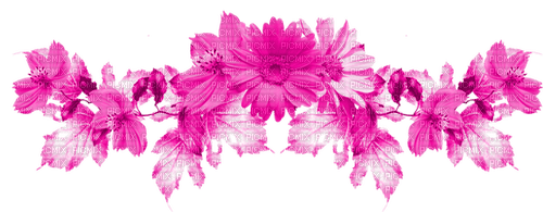 Branch.Leaves.Flowers.Pink - 免费PNG