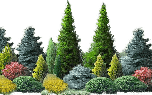 Wald - kostenlos png