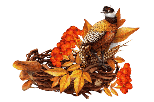 Осенний декор - фрее пнг