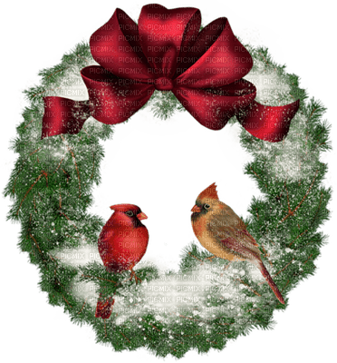 bird oiseaux vögel animal vogel birds oiseau   wreath kranz couronne  christmas noel xmas weihnachten Navidad рождество natal tube - zadarmo png