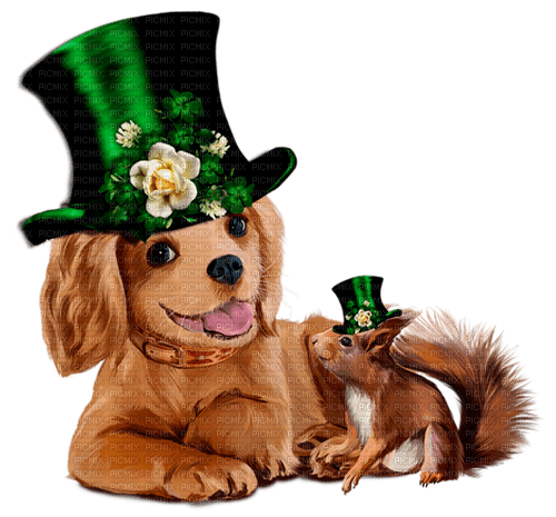 st. Patrick animals  by nataliplus - 無料png