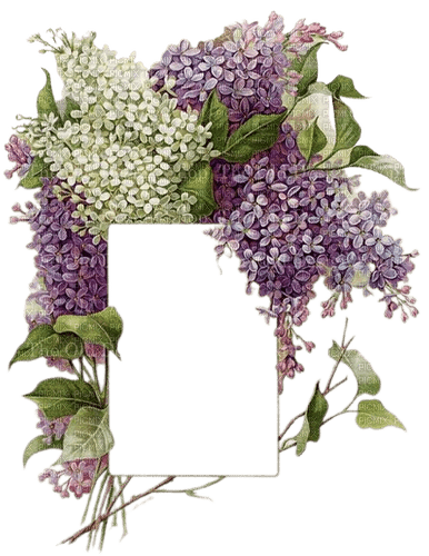 cadre lilas - Free PNG