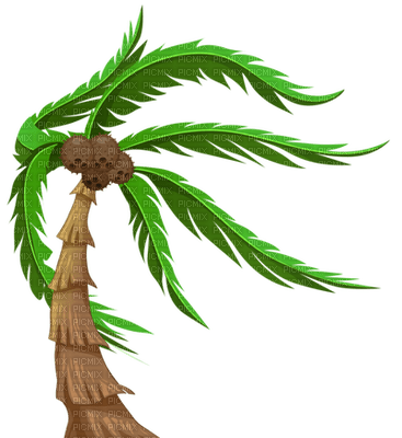Palmtree - png gratuito