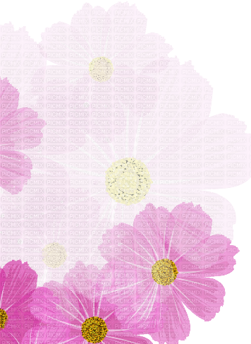 pink flower fond Bb2 - gratis png