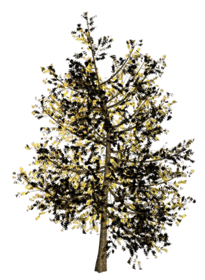 Kaz_Creations Trees Tree - png ฟรี