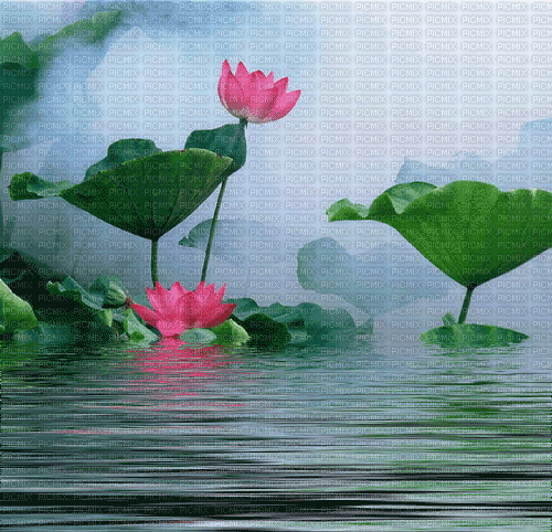 water background - Безплатен анимиран GIF