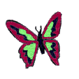 papillon - GIF animé gratuit