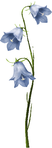 Flores campanitas - Ilmainen animoitu GIF