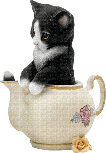dolceluna spring cat vintage deco cup tea - PNG gratuit