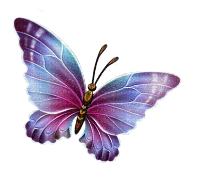 papillonGS - Nemokamas animacinis gif