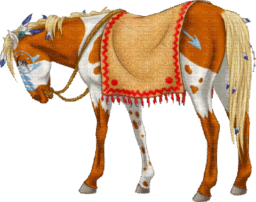 American Indian horse bp - Δωρεάν κινούμενο GIF