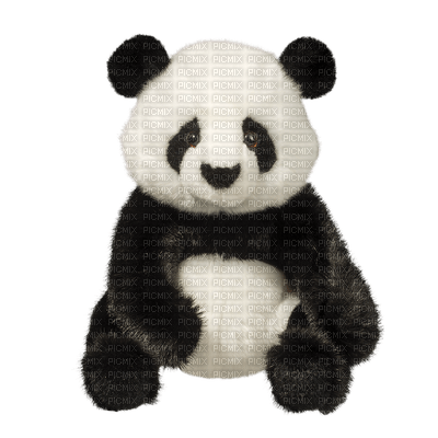 stuffed animal toy bp - 無料png
