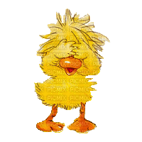 suzi zoo duck - GIF animado gratis